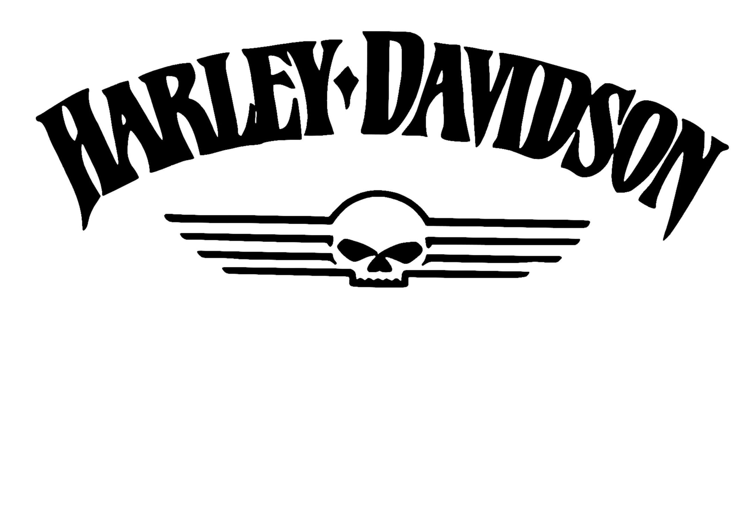 Harley davidson tank sticker style 3